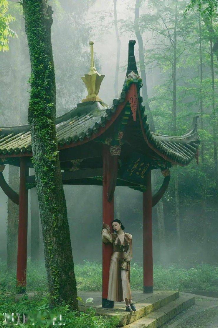 警察战僵尸无敌版